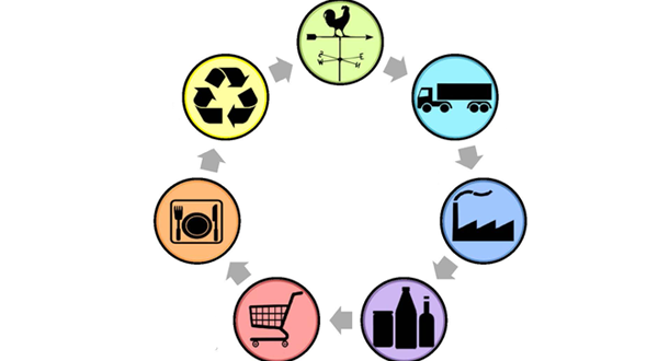 Food Supply Chain Management